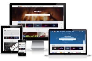 RiPro-V5 WordPress虚拟资源商城主题-迪思分享