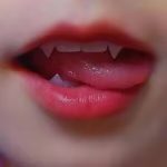 纸鸢-迪思分享