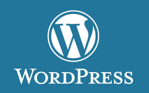 WordPress 自动为文章添加已使用过的标签-迪思分享