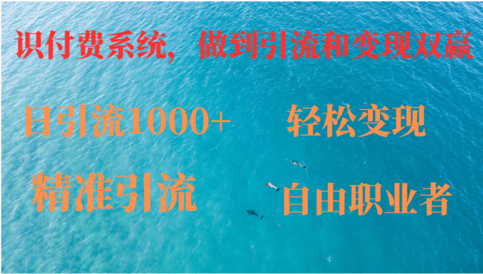 如何搭建自己的知识付费系统，做到引流跟变现双赢-迪思分享