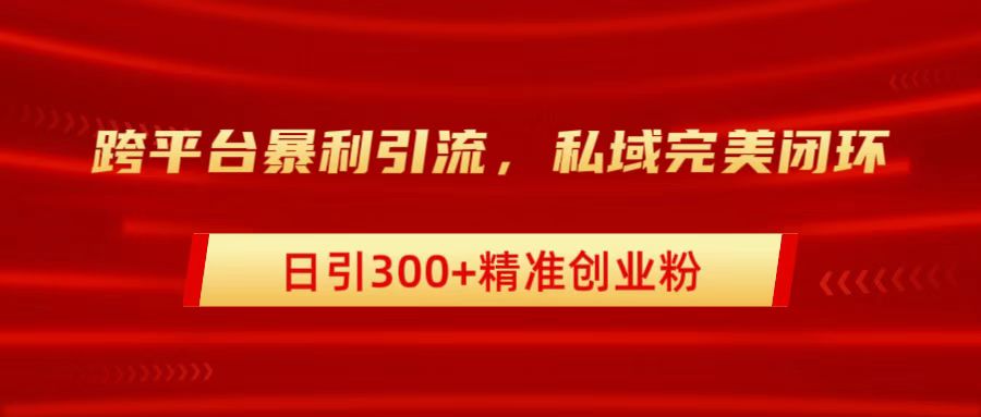 跨平台暴力引流，私域完美闭环，日引300+精准创业粉-迪思分享