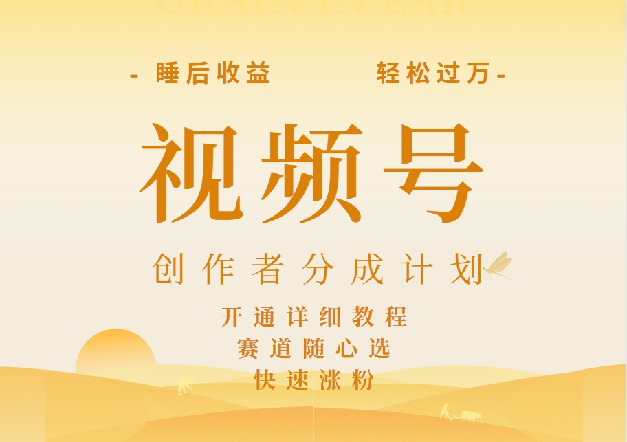 详解视频号创作者分成计划，暴力起号，可同步多平台，实现睡后收入2W+，看懂即可操作！-迪思分享